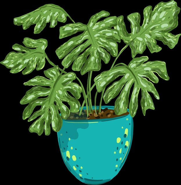 AI 赋能！海角网站运营秘籍幕后真相