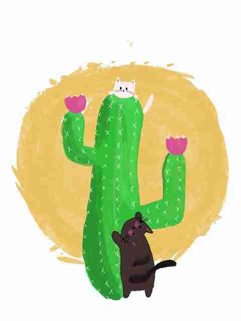 糖心tv体验分享·交互革命榜单