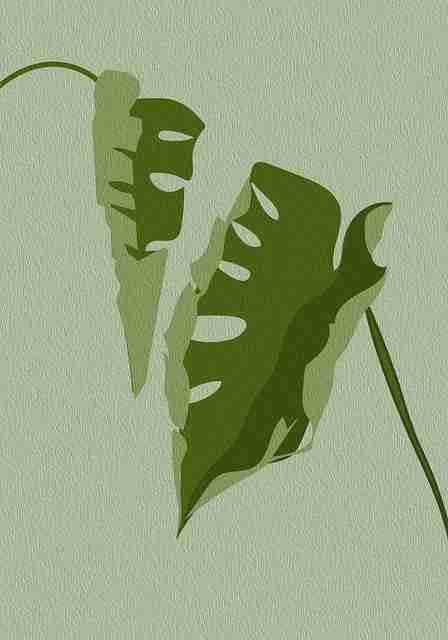 品牌联名《新91视频》评论区文化终极剖析