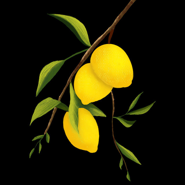 品牌联名《蘑菇视频ios》拍摄技巧深读